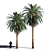  Exquisite 3D Date Palm 3D model small image 1