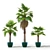 Versatile Washingtonia Robusta Palm Set 3D model small image 1