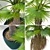 Versatile Washingtonia Robusta Palm Set 3D model small image 2