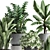 Exotic Houseplant Collection 3D model small image 2