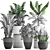 Exotic Houseplant Collection 3D model small image 3