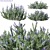 3Dmax 2016 + OBJ + Corona 3D model small image 1