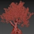Europa Olea Olive Tree 3D Model 3D model small image 2
