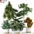 Exquisite Botanical Collection 203 3D model small image 1