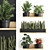 Vertical Garden Collection: Bromelia, Monstera, Zamioculcas 3D model small image 1