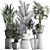 Exotic Houseplant Collection 3D model small image 3