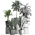 Exotic Plant Collection 3D model small image 3