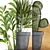 Exotic Houseplants Collection 3D model small image 2