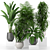 Tropical Oasis: Houseplant Collection 3D model small image 1