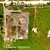 Aerial Texture: Field 245 3D model small image 3