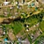 Aerial Landscape Texture 3D model small image 3