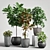 Versatile Plants Set 11 3D model small image 1