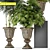 Lush Greens- 3D Plants Collection 3D model small image 2