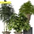 Lush Greens- 3D Plants Collection 3D model small image 3