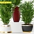 Lush Greenery Bundle - 264 Realistic Plant Models 3D model small image 2