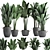 Exotic Plant Collection: Banana Palm & Ravenala 3D model small image 1