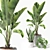 Tropical Greenery Set: Sansevieria, Japanese Banana, Rubber Tree, Pilea 3D model small image 2