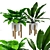 Tropical Banana Leaf Calathea Set 3D model small image 1