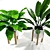 Tropical Banana Leaf Calathea Set 3D model small image 2