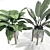 Tropical Banana Leaf Calathea Set 3D model small image 3