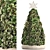Exotic Succulent Tree: Perfect for New Year Decor 3D model small image 1