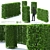 Title: Hornbeam Hedge | Carpinus Betulus Hedge Kit 3D model small image 1