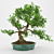 Artificial Bonsai Tree: Detailed, Textured 3D model small image 1