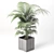 Tropical Charm: Cape Collection Palm Tree 3D model small image 3