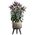 Exotic Houseplant Collection 3D model small image 3