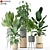 Tropical Oasis: Plant Collection 3D model small image 1