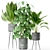 Tropical Oasis: Plant Collection 3D model small image 2
