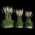 Feathery Beauty: Feather Reed Grass 3D model small image 6