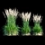 Feathery Beauty: Feather Reed Grass 3D model small image 16