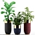 233 Longhi Godwin Plant Collection 3D model small image 2