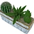 Title: Mini Cacti Pot: Tabletop Succulent Display 3D model small image 2
