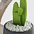 Desert Serenity: Cactus in Stone Pots 3D model small image 2