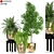 Botanical Bliss: 235 Plant Collection 3D model small image 1