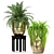 Botanical Bliss: 235 Plant Collection 3D model small image 2