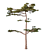 Forest Villa Pine Tree 3D model small image 1