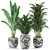 Exquisite Plants Set 236 3D model small image 4