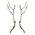 Elegant Branch Wall Decor 3D model small image 1