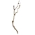 Elegant Branch Wall Decor 3D model small image 2