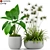 Botanical Bliss: Stunning Plant Collection 3D model small image 1