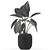 Botanical Bliss: Stunning Plant Collection 3D model small image 5