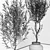 Elegant Olive Tree Set: Interior & Exterior 3D model small image 5