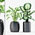 Tropical Trio: Chinese Evergreen & Dumb Cane 3D model small image 1