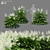 Aruncus Dioicus Flowers - Stunning and Lifelike 3D model small image 1
