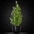 Green Oasis: 263 Unique Plants 3D model small image 3