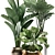 Exotic Houseplant Collection 3D model small image 3