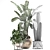 Exotic Houseplant Collection 3D model small image 3